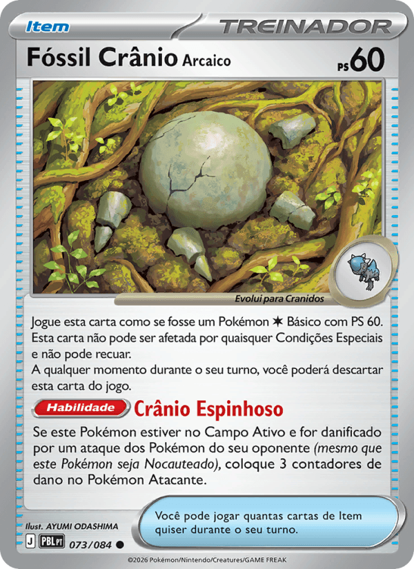 Fóssil Crânio Arcaico - 073/84
