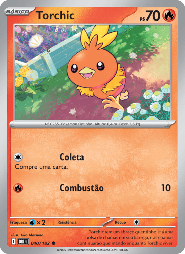 Torchic - 040/182