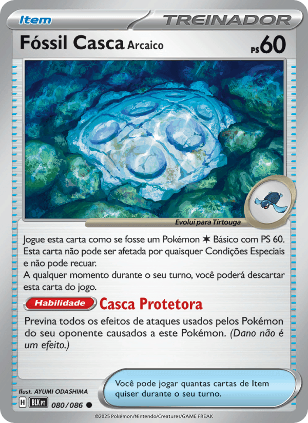 Fóssil Casca Arcaico - 080/86